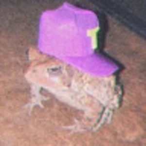 Meet your Posher, Cora